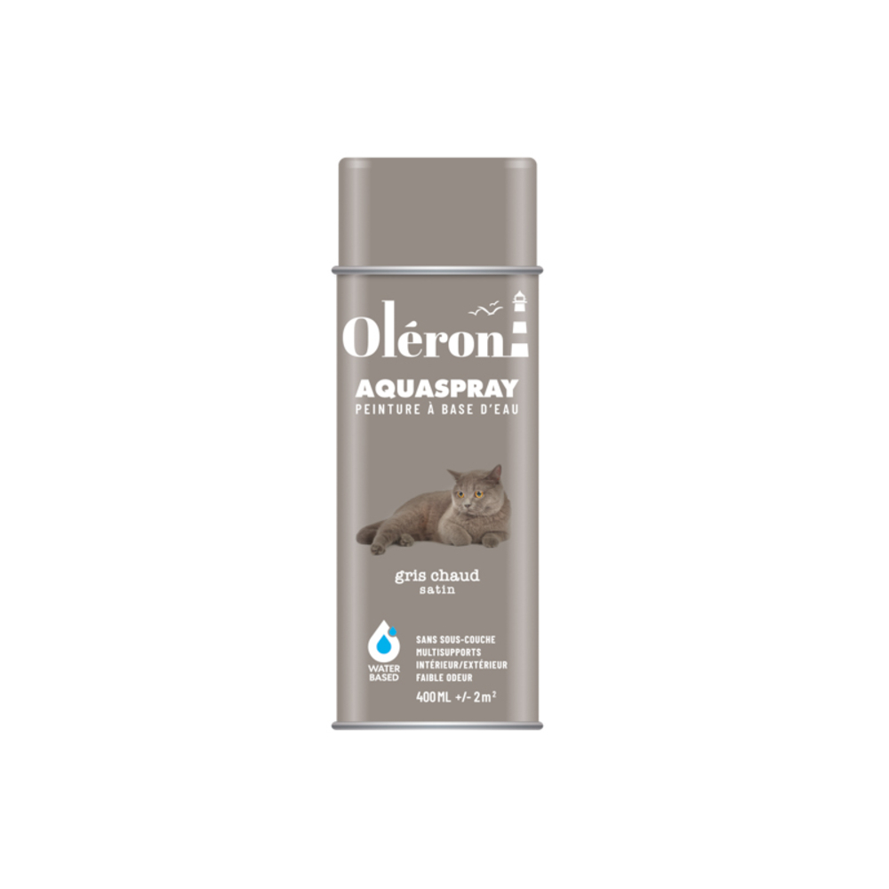 BOMBE DE DECORATION AQUASPRAY GRIS CHAUD SATINE 400ML OLERON 561015