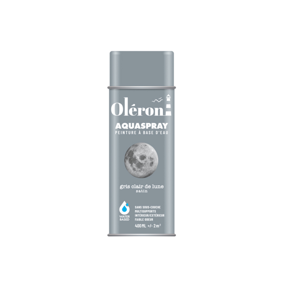 BOMBE DE DECORATION AQUASPRAY GRIS LUNE SATINE 400ML OLERON 561016