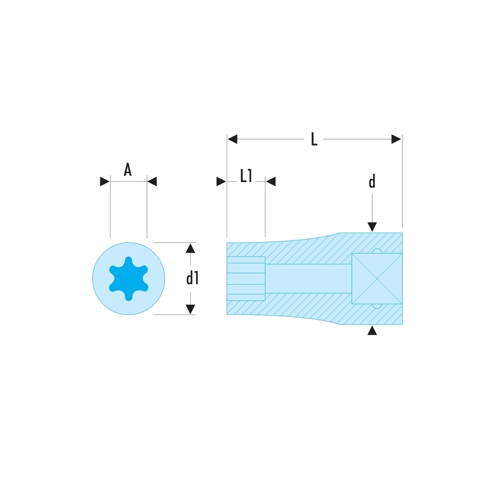 Douille 1/4' tx n e10 - FACOM - RTX.10