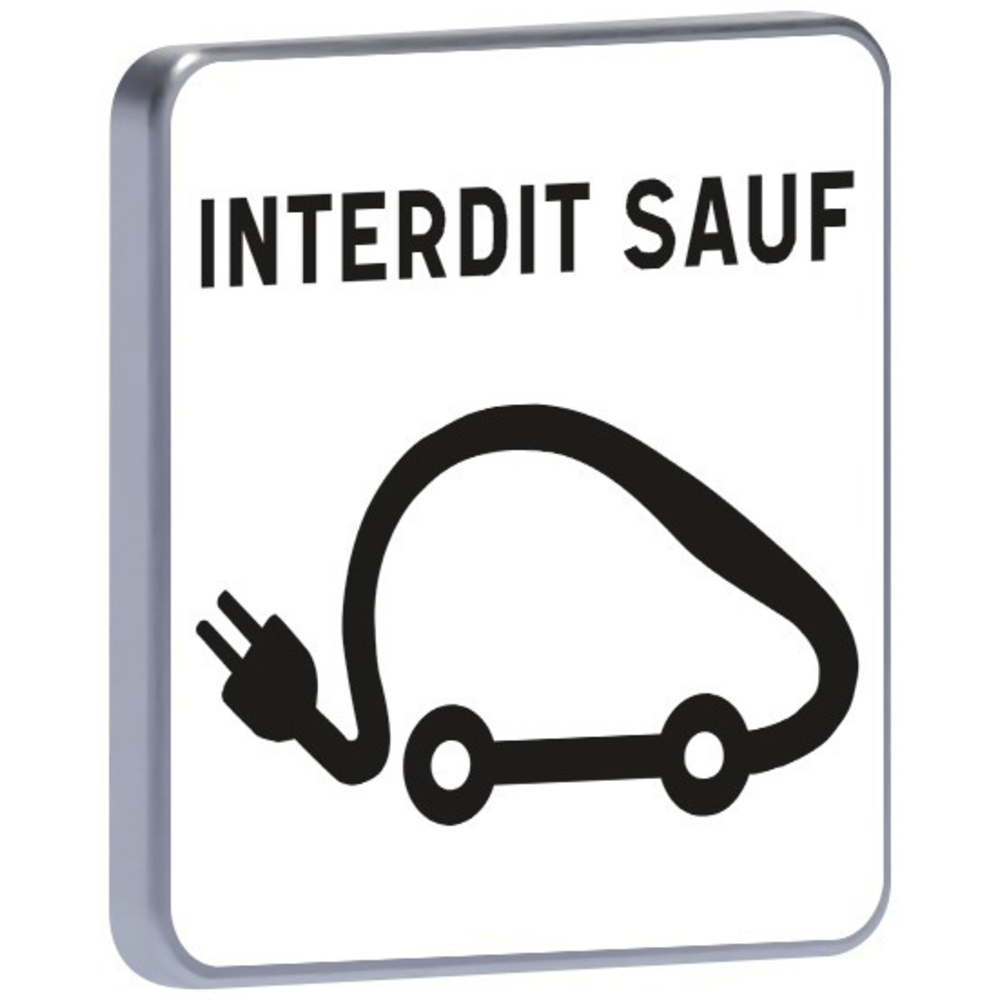 M6i-350x350-Classe 1-Réservé aux véhicules électriques TALIAPLAST - 525025