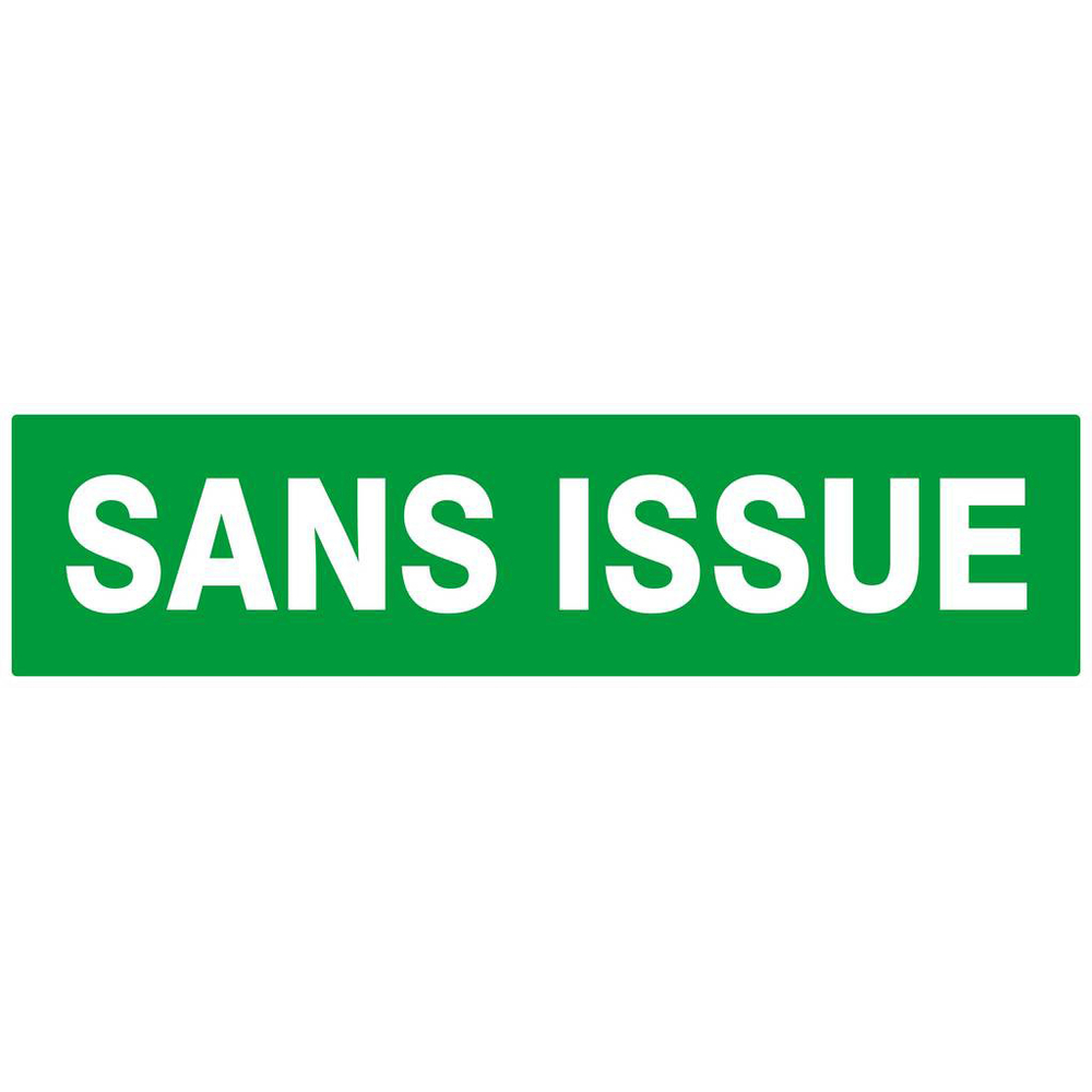 SANS ISSUE (SECOURS) 200x52mm TALIAPLAST - 620416