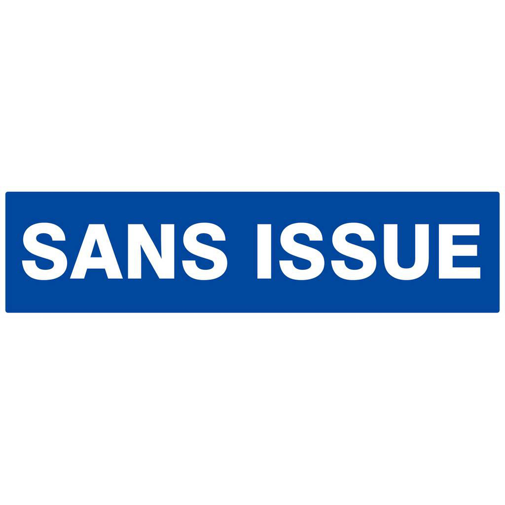 Panneau rigide SANS ISSUE 200x52mm TALIAPLAST - 620627