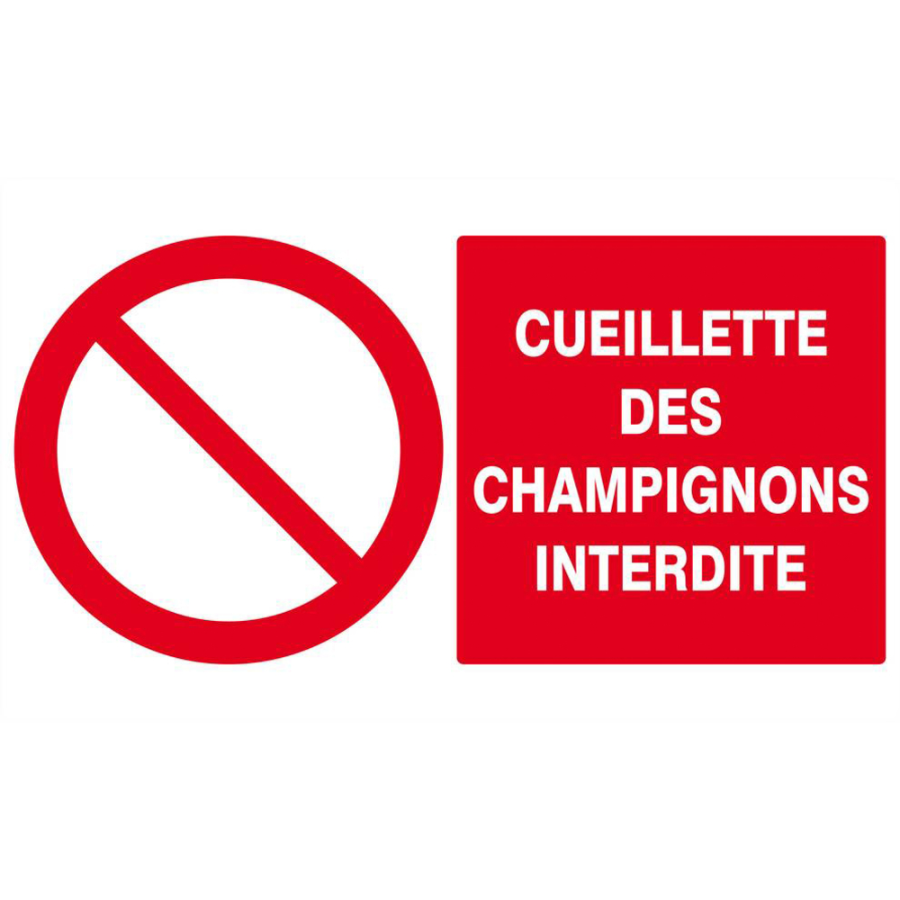 Panneau rigide CUEILLETTE DES CHAMPIGNONS INTERDITE 330x200mm TALIAPLAST - 621221