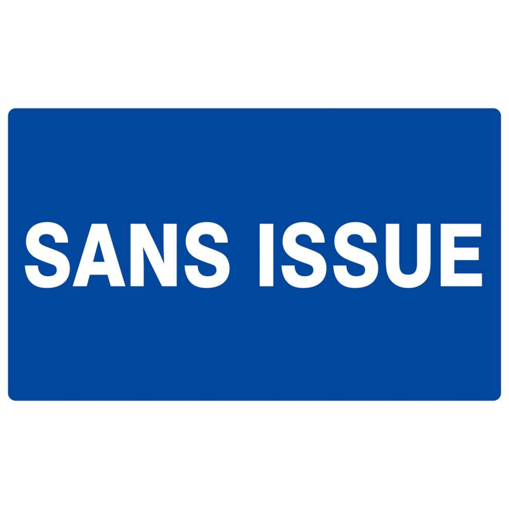 Panneau rigide SANS ISSUE 330x200mm TALIAPLAST - 621627