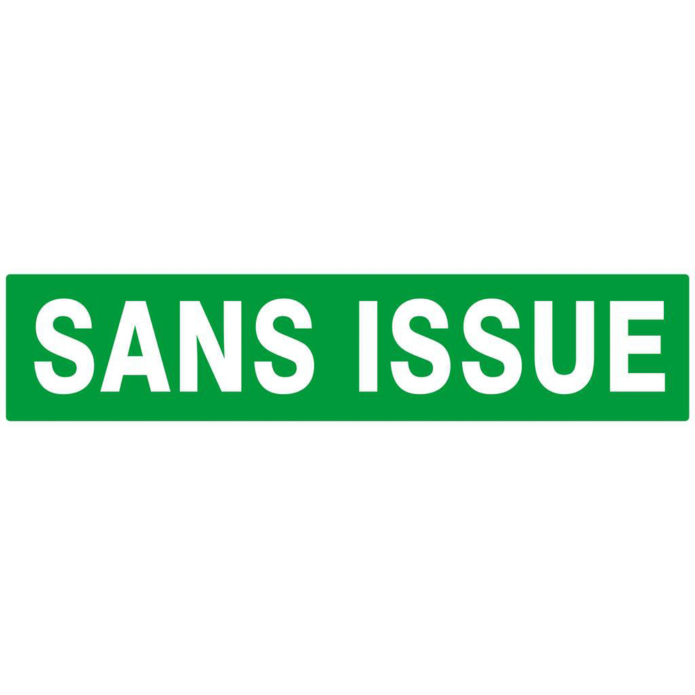 PANNEAU SANS ISSUE (SECOURS) 330X75MM TALIAPLAST - 625416