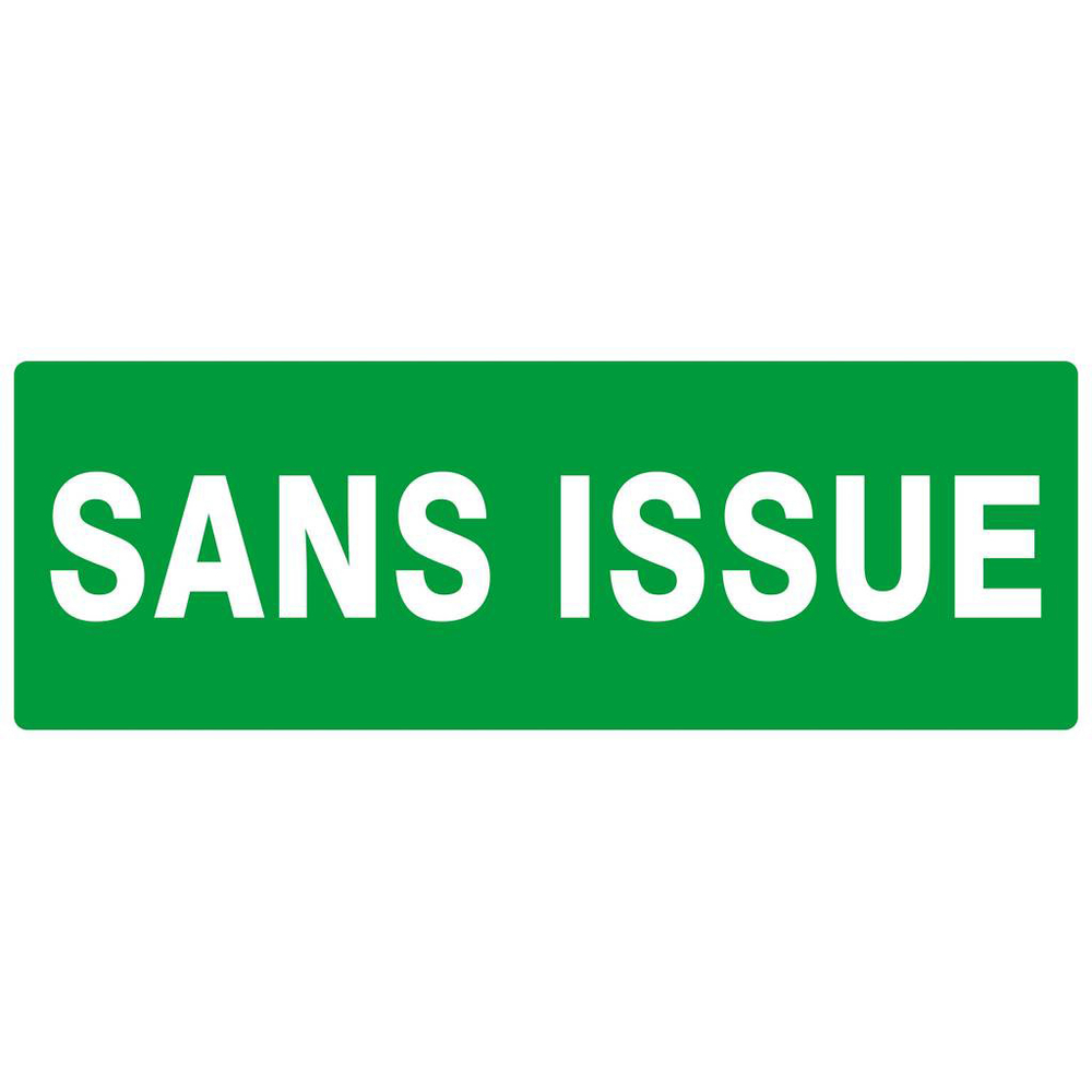 PANNEAU SANS ISSUE (SECOURS) 330X120MM TALIAPLAST - 626415