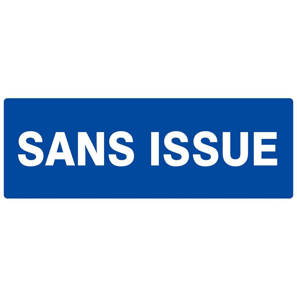 Panneau rigide SANS ISSUE 330X120MM TALIAPLAST - 626627