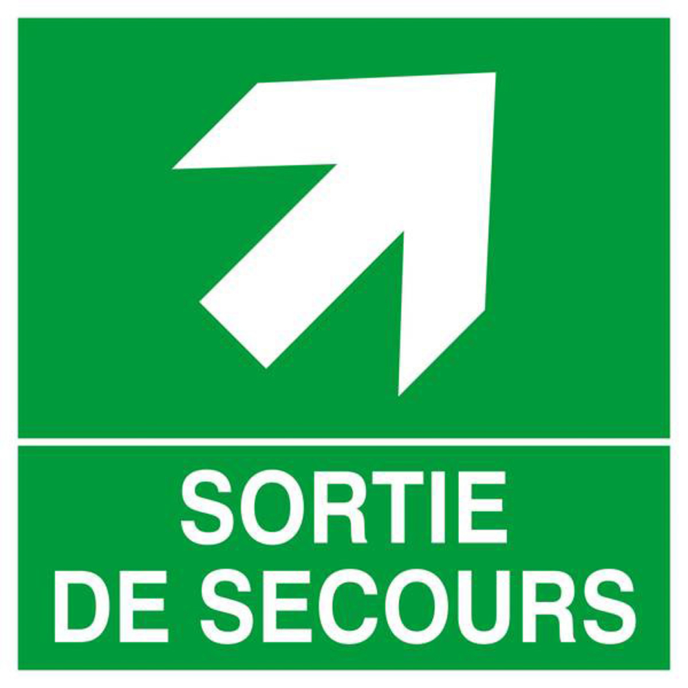 PANNEAU SORTIE DE SECOURS FLECHE EN HAUT A DROITE 200X200MM TALIAPLAST - 628408
