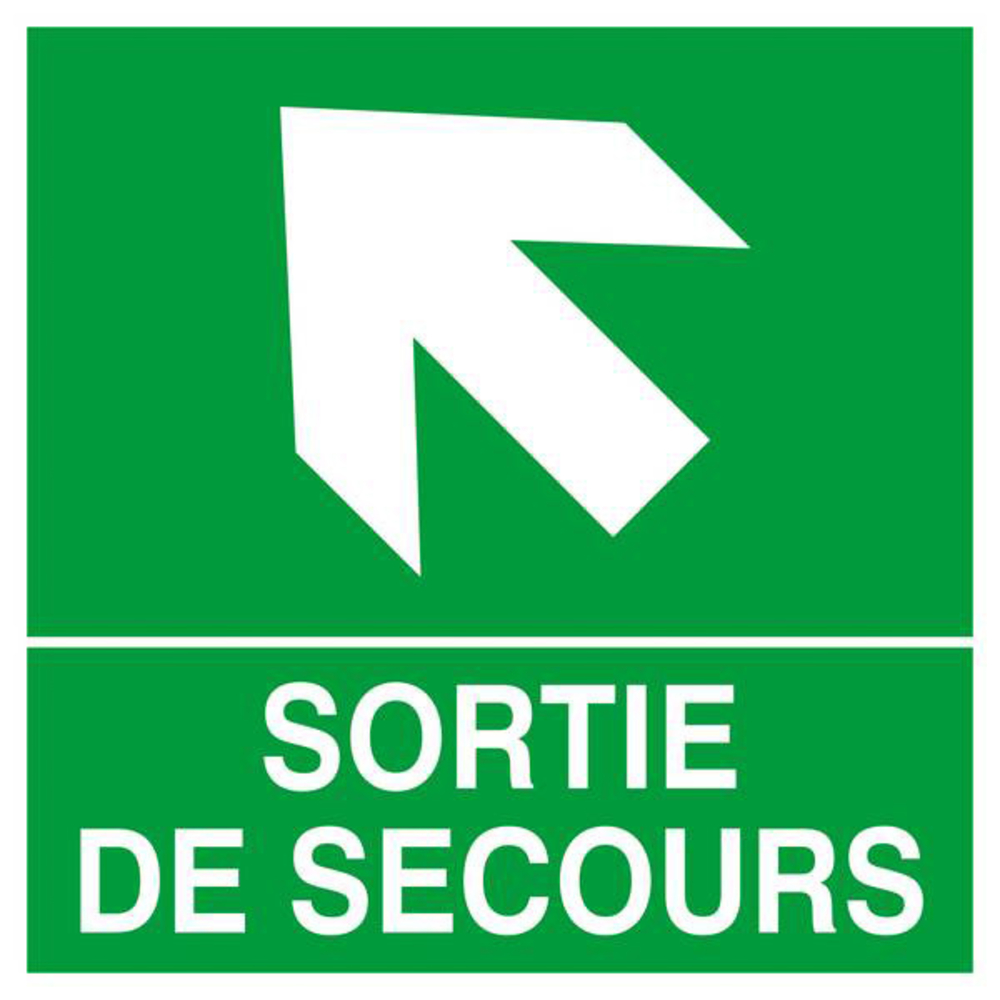 PANNEAU SORTIE DE SECOURS FLECHE EN HAUT A GAUCHE 200X200MM TALIAPLAST - 628410