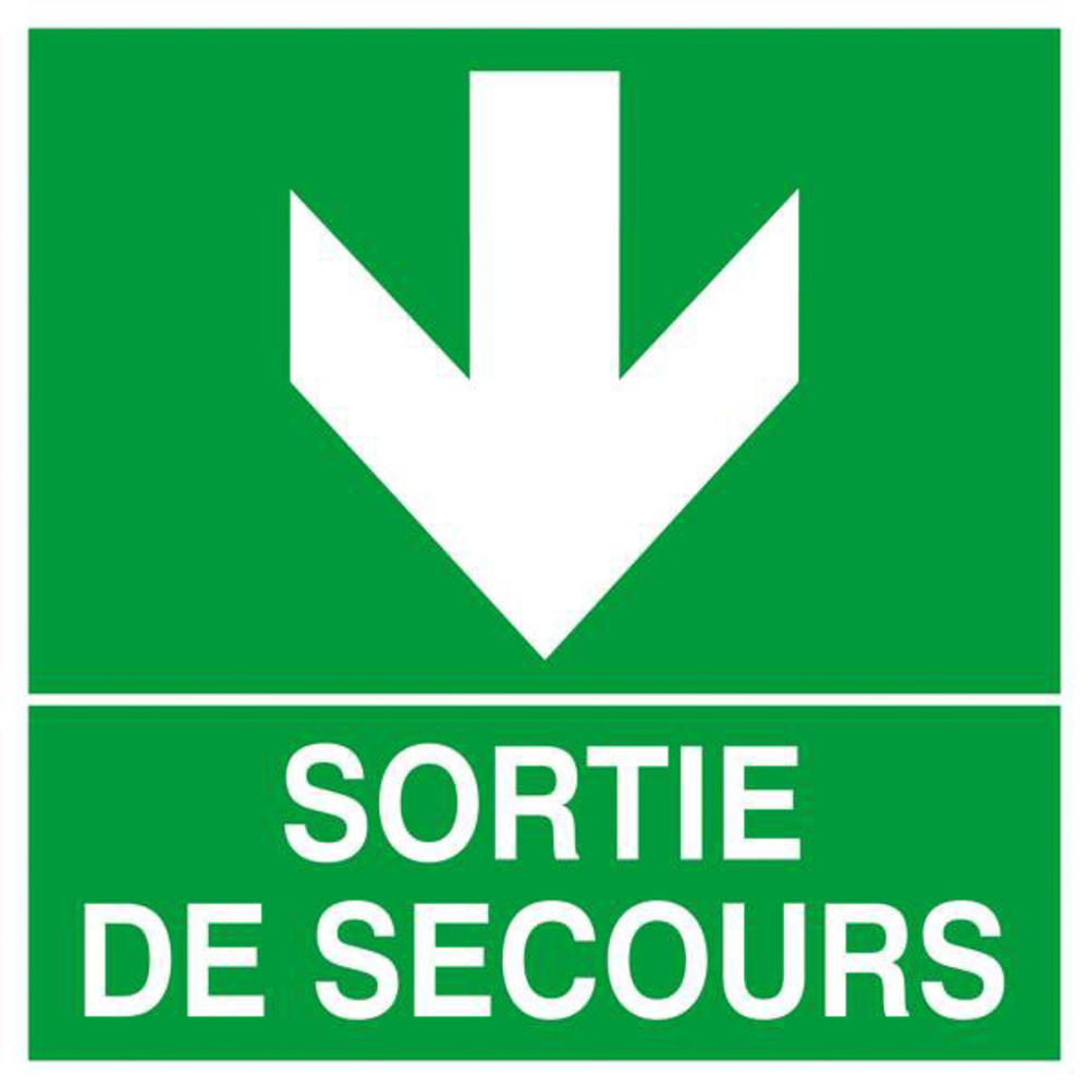 PANNEAU SORTIE DE SECOURS FLECHE EN BAS 200X200MM TALIAPLAST - 628412