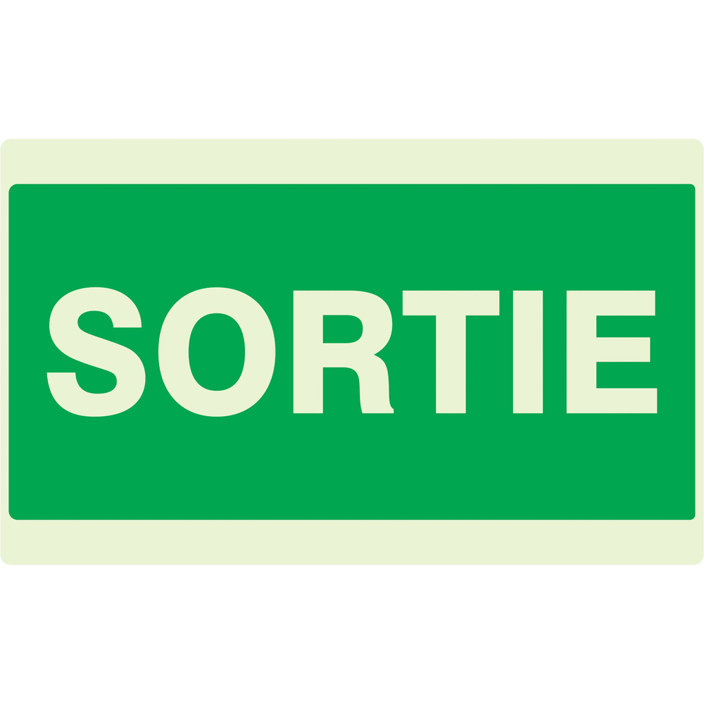 PANNEAU SORTIE LUMINESCENT 330X200MM TALIAPLAST - 631404