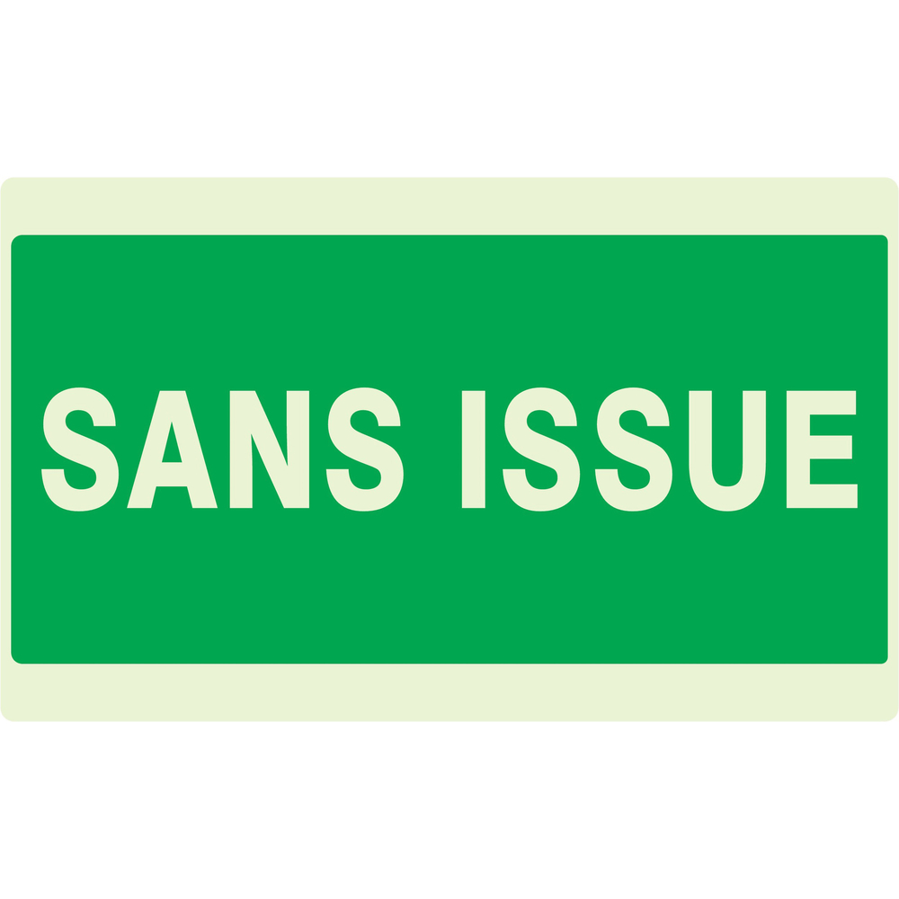 PANNEAU SANS ISSUE (SECOURS) LUMINESCENT 330X200MM TALIAPLAST - 631416