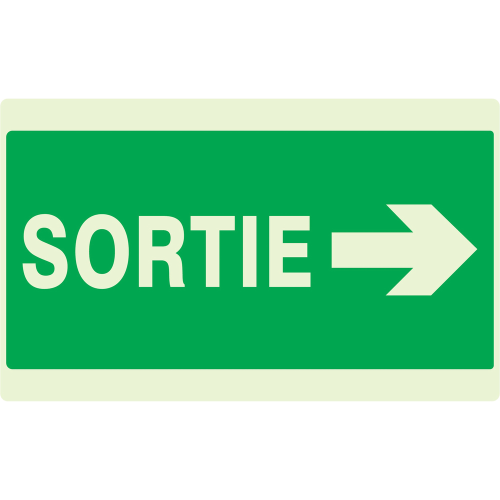 PANNEAU SORTIE FLECHE A DROITE LUMINESCENT 330X200MM TALIAPLAST - 631417