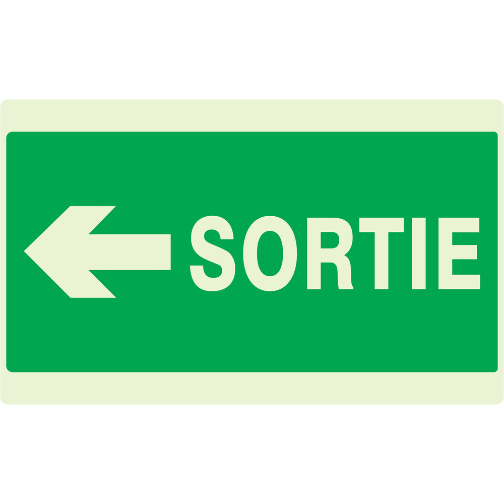 PANNEAU SORTIE FLECHE A GAUCHE LUMINESCENT 330X200MM TALIAPLAST - 631418