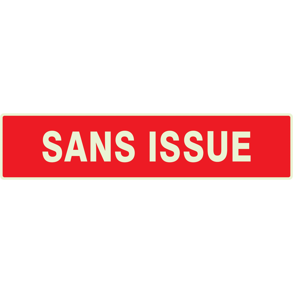 PANNEAU SANS ISSUE (INCENDIE) LUMINESCENT 330X75MM TALIAPLAST - 635124