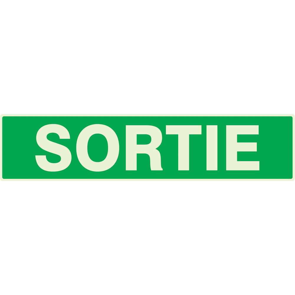 PANNEAU SORTIE LUMINESCENT 330X75MM TALIAPLAST - 635404