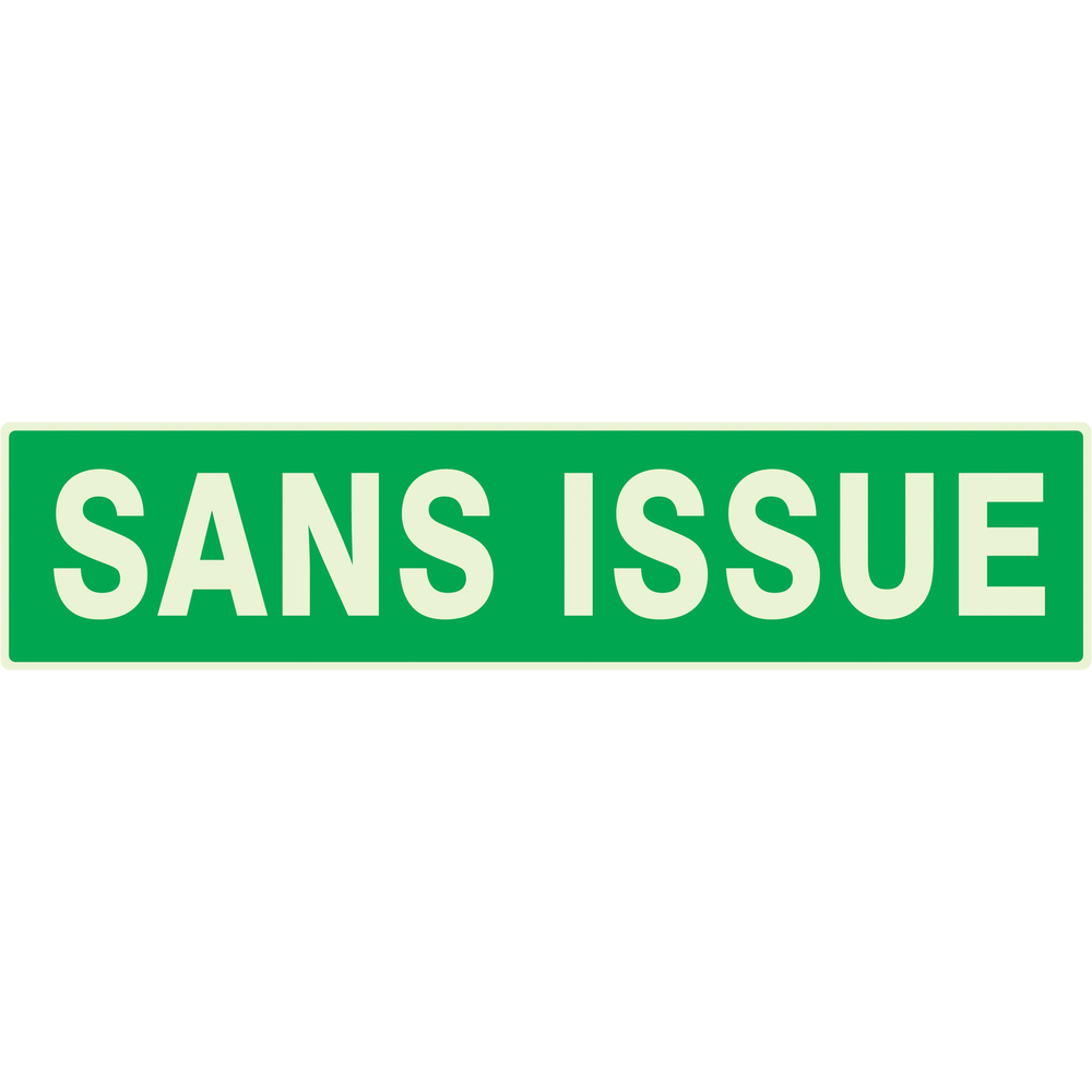 PANNEAU SANS ISSUE (SECOURS) LUMINESCENT 330X75MM TALIAPLAST - 635416