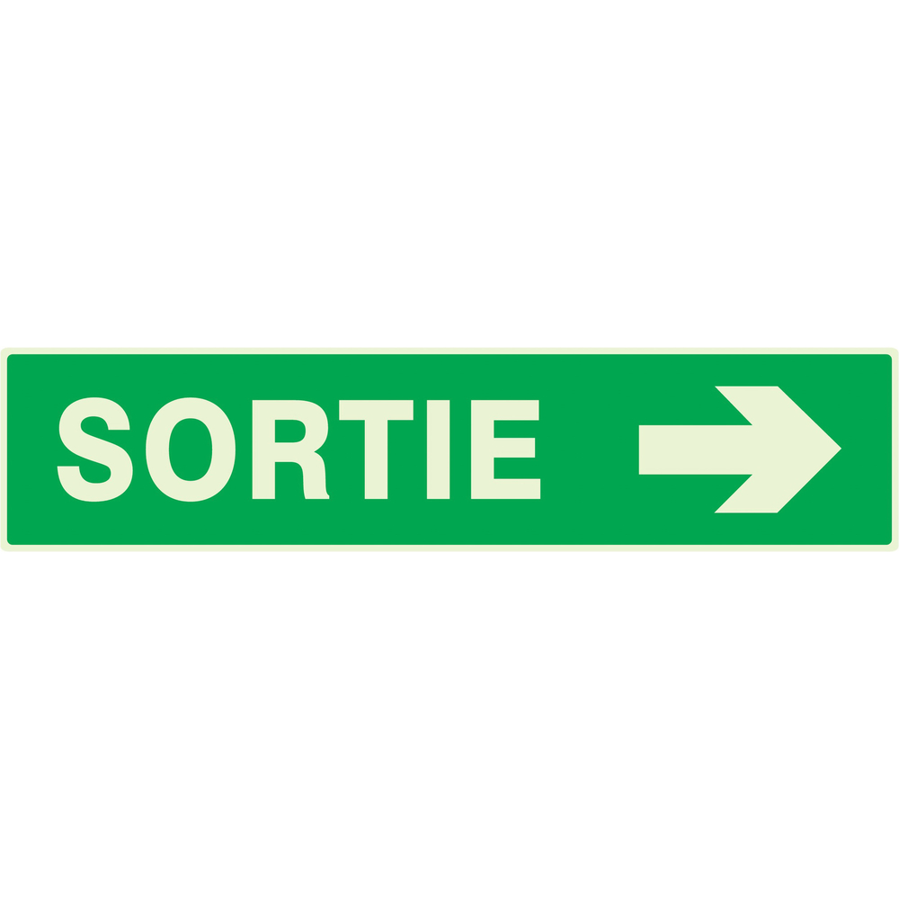 PANNEAU SORTIE FLECHE A DROITE LUMINESCENT 330X75MM TALIAPLAST - 635417