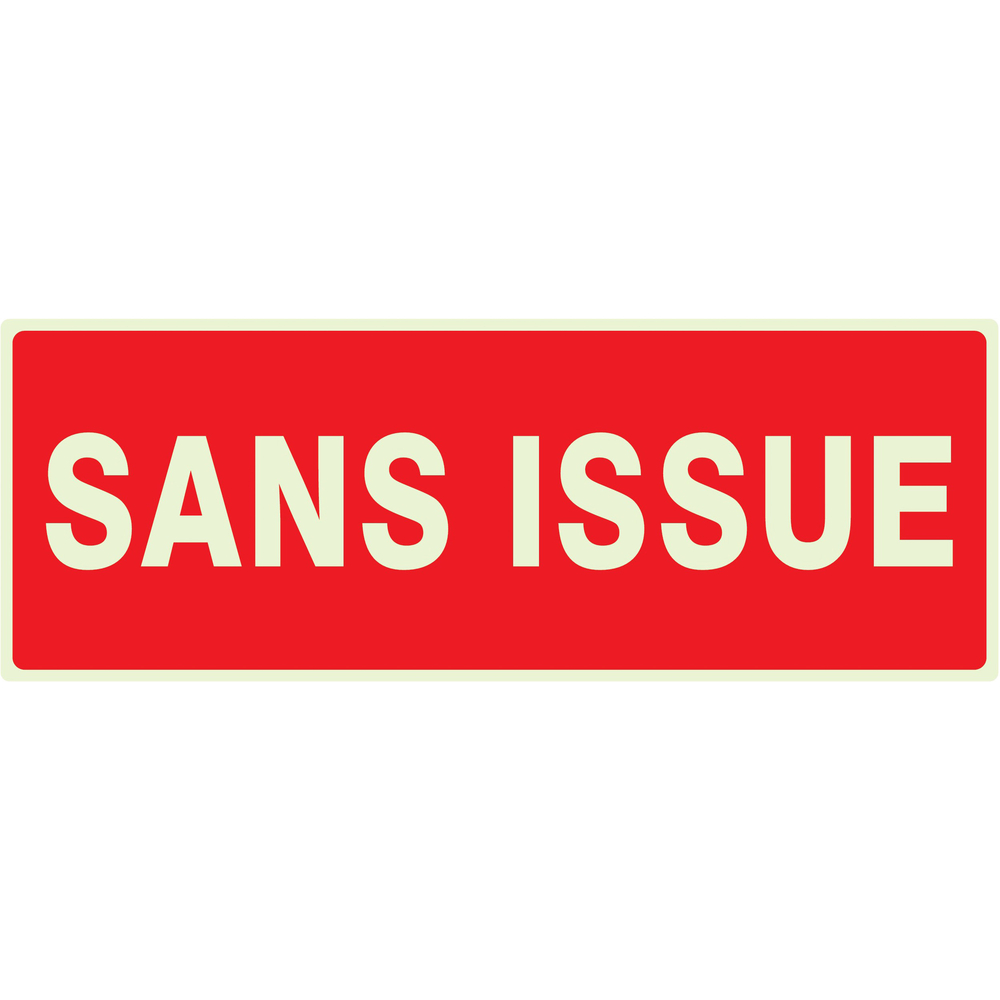 PANNEAU SANS ISSUE (INCENDIE) LUMINESCENT 330X120MM TALIAPLAST - 636124