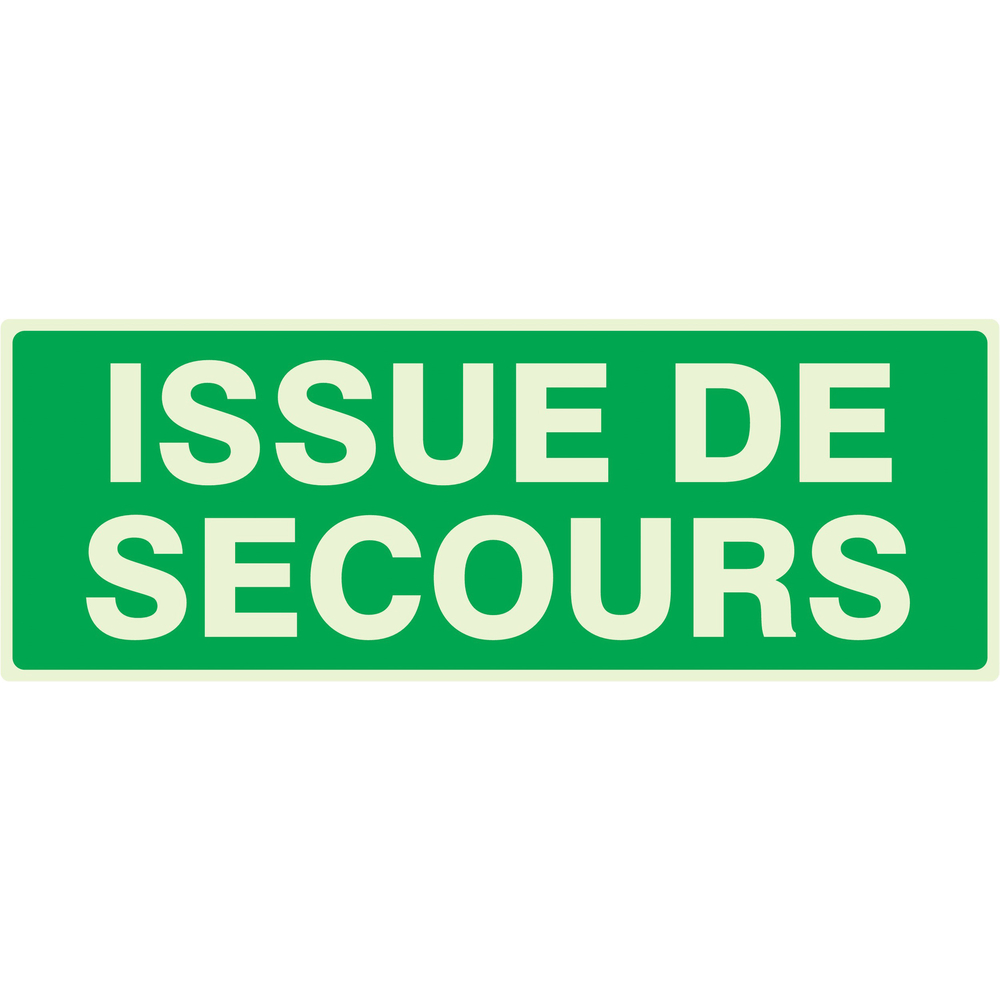 PANNEAU ISSUE DE SECOURS LUMINESCENT 330X120MM TALIAPLAST - 636402