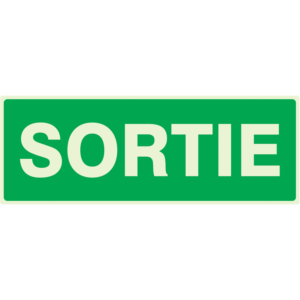PANNEAU SORTIE LUMINESCENT 330X120MM TALIAPLAST - 636404