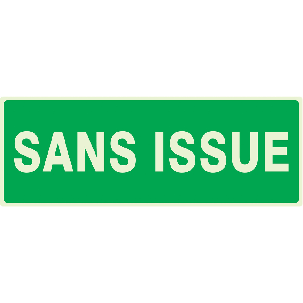 PANNEAU SANS ISSUE (SECOURS) LUMINESCENT 330X120MM TALIAPLAST - 636416