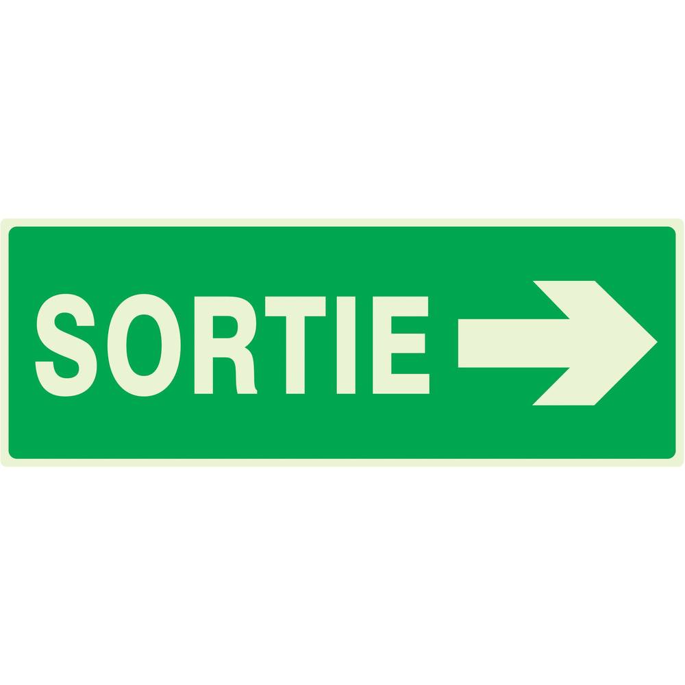 PANNEAU SORTIE FLECHE A DROITE LUMINESCENT 330X120MM TALIAPLAST - 636417