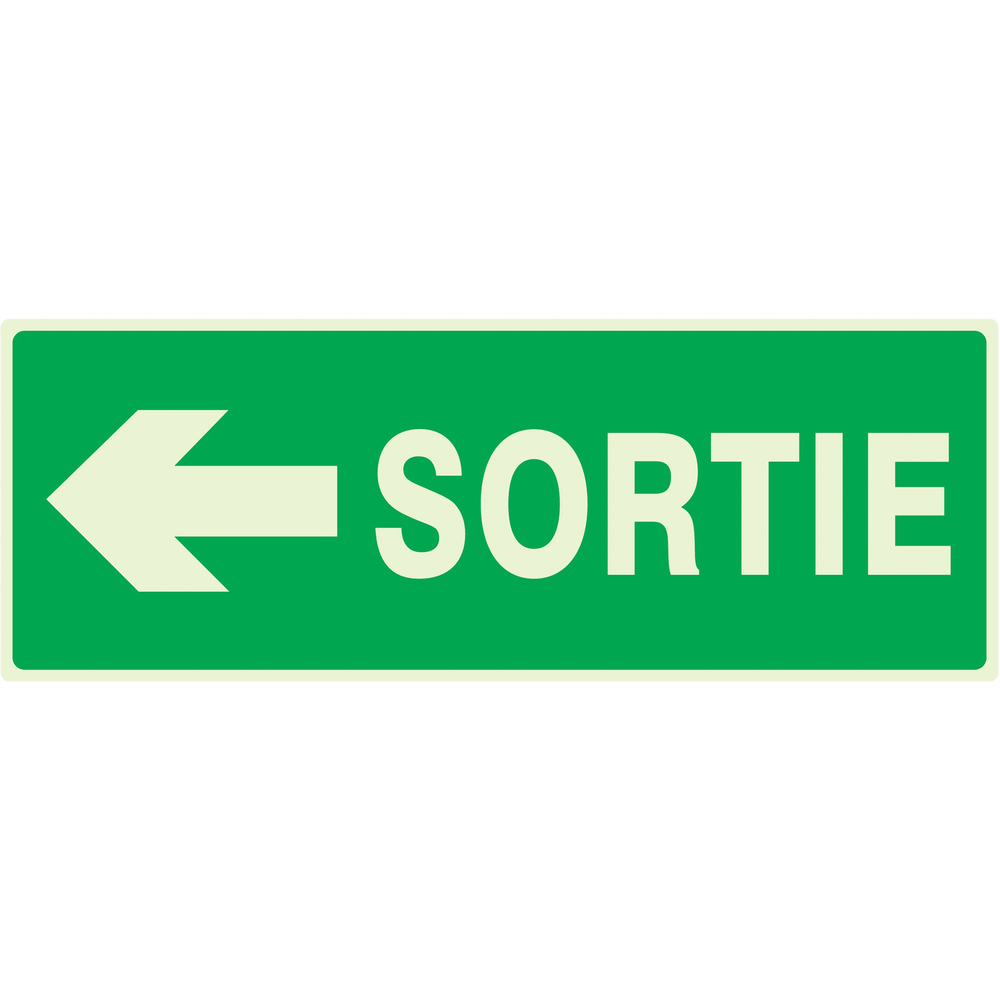 PANNEAU SORTIE FLECHE A GAUCHE LUMINESCENT 330X120MM TALIAPLAST - 636418