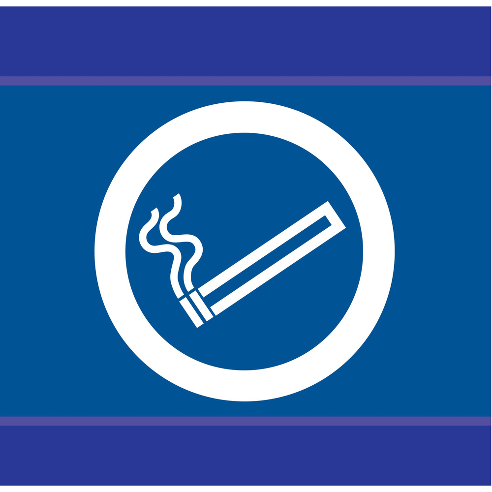 PANNEAU ZONE FUMEUR D-SIGN 100X100MM TALIAPLAST - 637636
