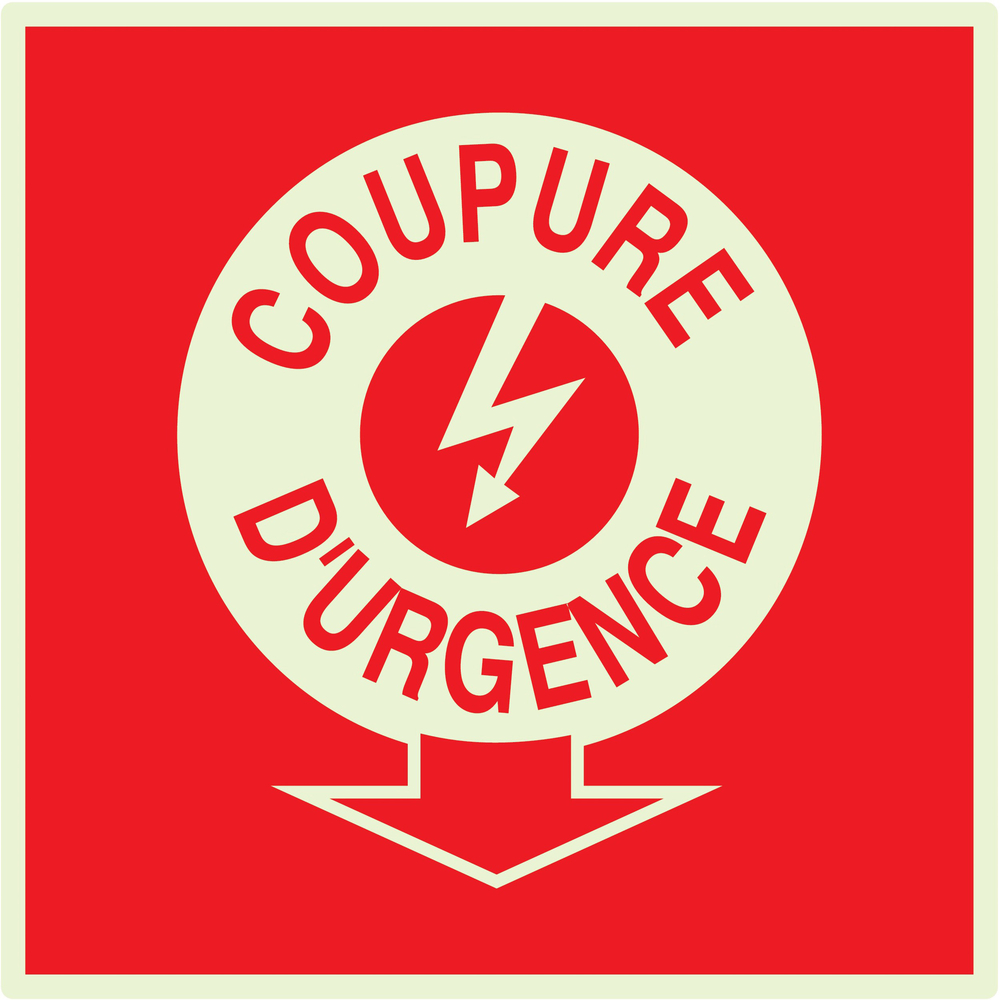 PANNEAU COUPURE ELECTRICITE D'URGENCE LUMINESCENT 200X200MM TALIAPLAST - 638110