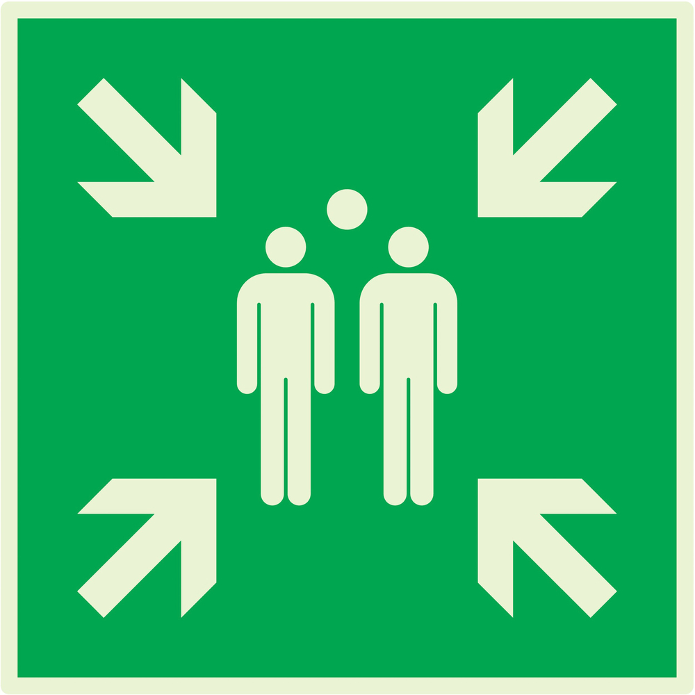 POINT DE RASSEMBLEMENT APRES EVACUATION LUMIN.200X200mm TALIAPLAST - 638403