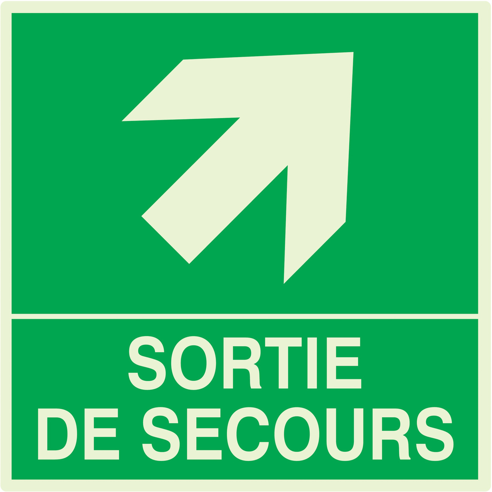 SORTIE DE SECOURS FLECHE EN HAUT A DROITE LUM.200x200mm TALIAPLAST - 638408