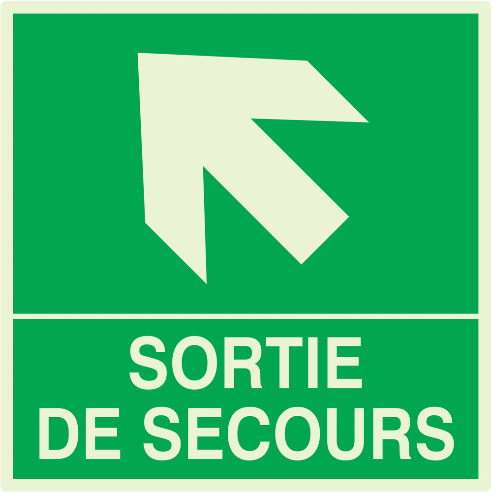 SORTIE DE SECOURS FLECHE EN HAUT A GAUCHE LUM.200x200mm TALIAPLAST - 638410