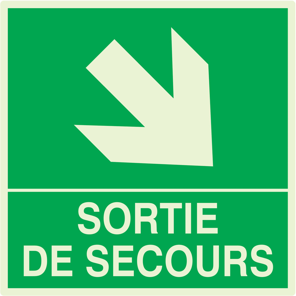 SORTIE DE SECOURS FLECHE EN BAS A DROITE LUM. 200x200mm TALIAPLAST - 638411