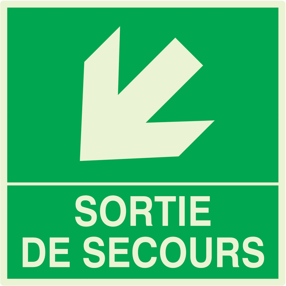 SORTIE DE SECOURS FLECHE EN BAS A GAUCHE LUM. 200x200mm TALIAPLAST - 638413