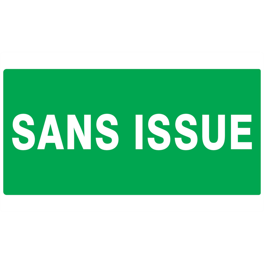 PANNEAU SANS ISSUE (SECOURS) 330X200MM TALIAPLAST - 721417