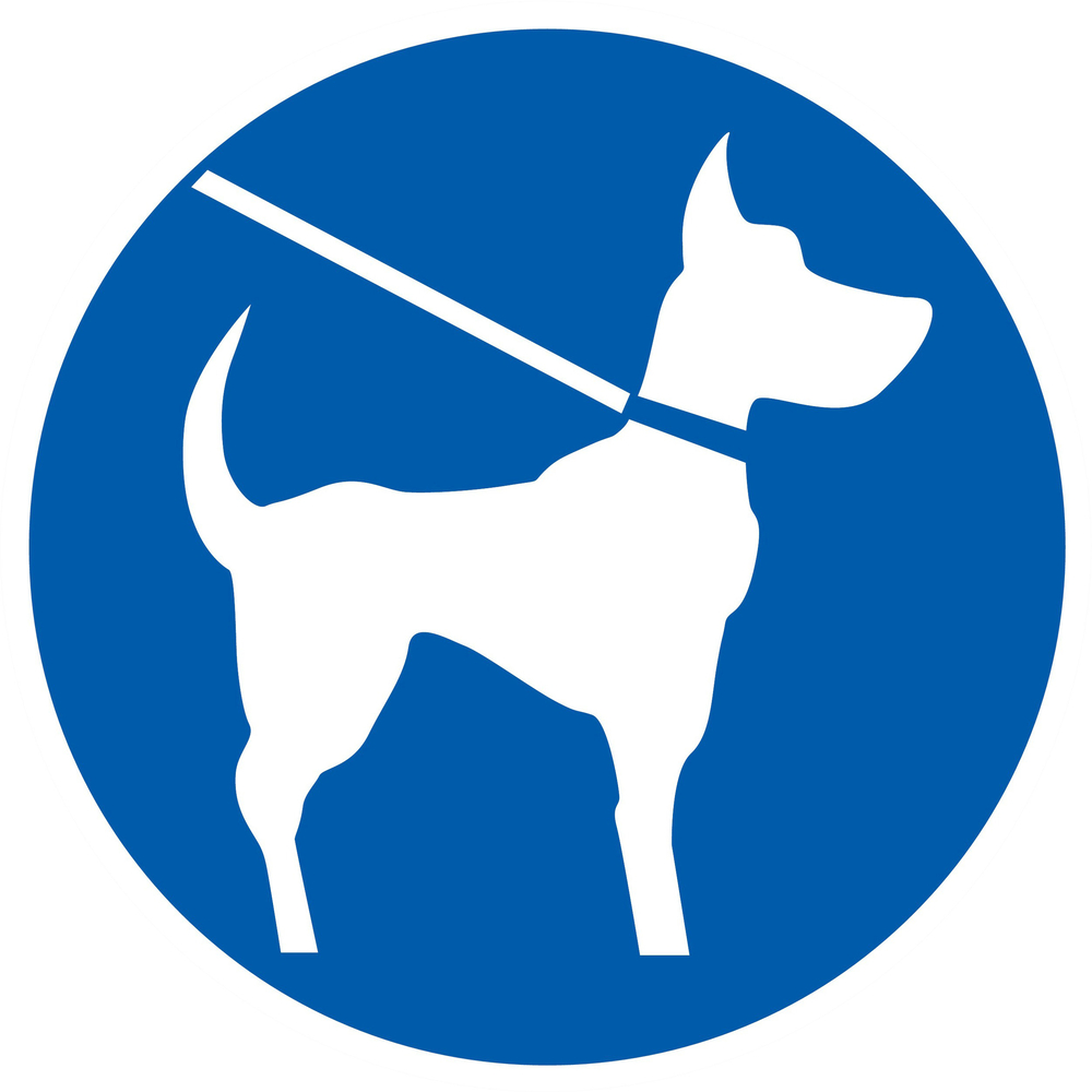 Panneau adhésif CHIEN EN LAISSE OBLIGATOIRE Ø420MM TALIAPLAST - 723544