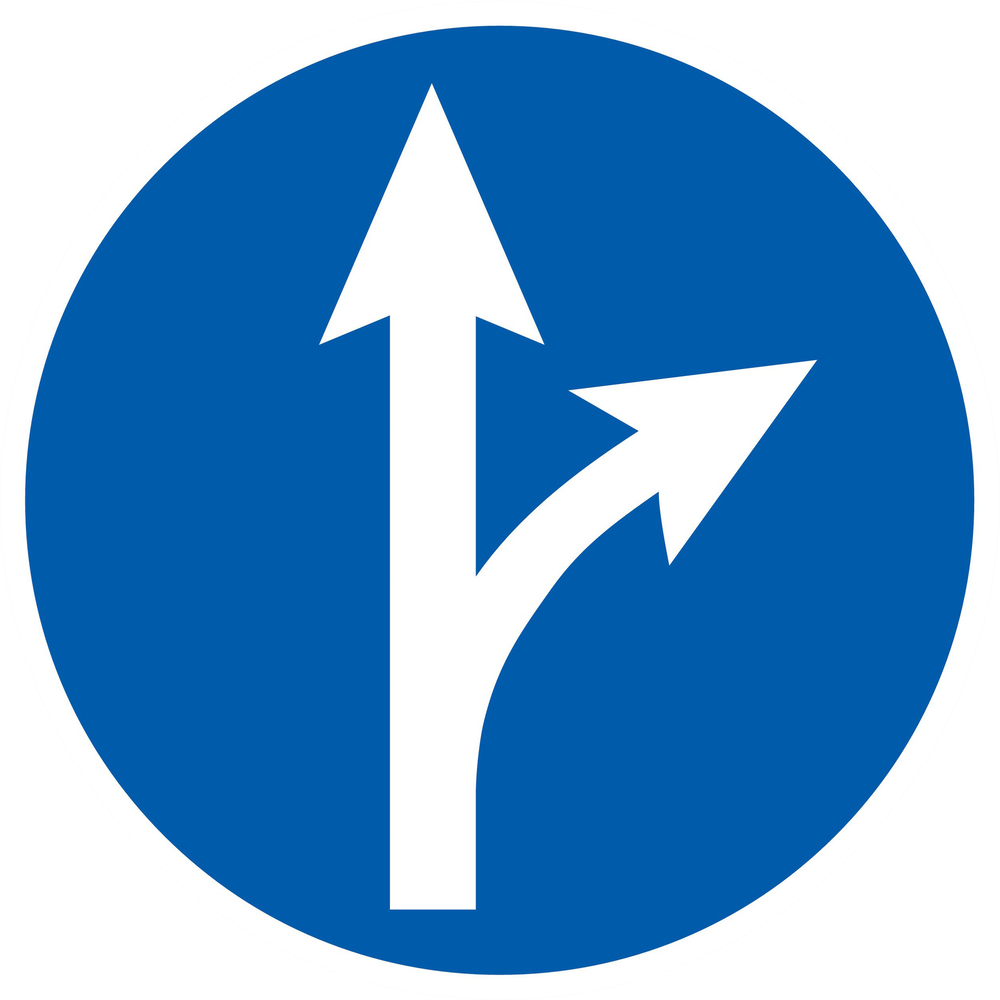 Panneau adhésif SORTIE SUR LA DROITE Ø420MM TALIAPLAST - 723583