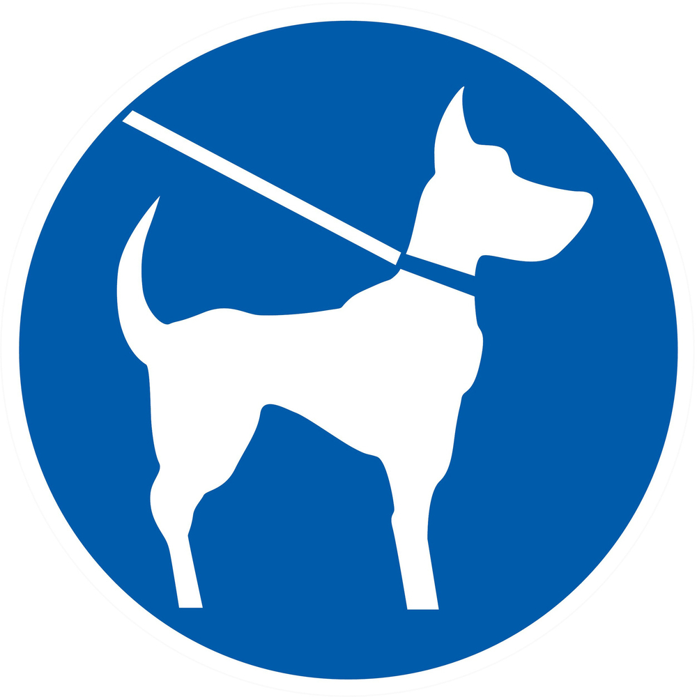 Panneau adhésif CHIEN EN LAISSE OBLIGATOIRE Ø80MM TALIAPLAST - 724544