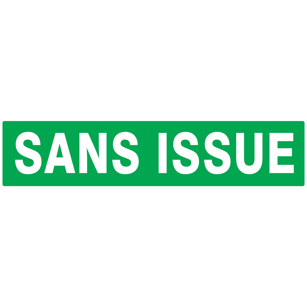 PANNEAU SANS ISSUE (SECOURS) 330X75MM TALIAPLAST - 725416