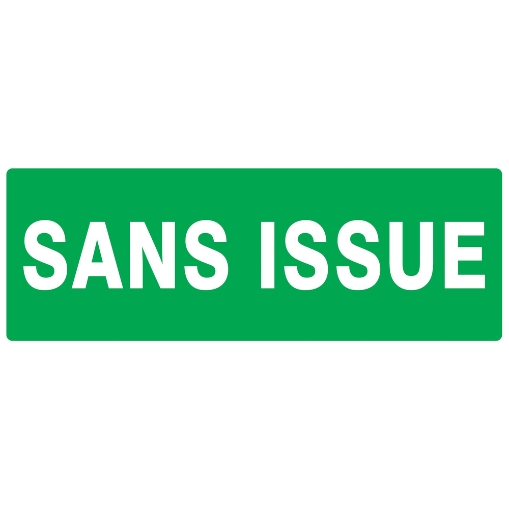 PANNEAU SANS ISSUE (SECOURS) 330X120MM TALIAPLAST - 726415