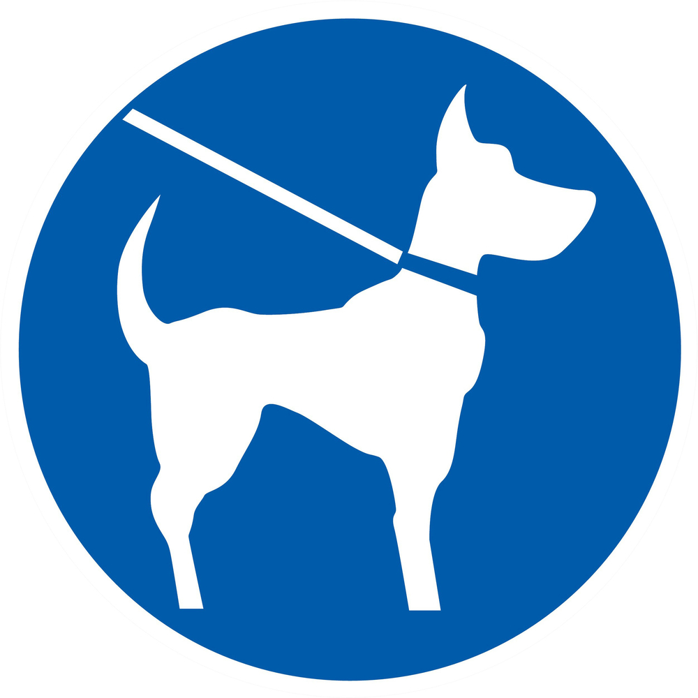 Panneau adhésif CHIEN EN LAISSE OBLIGATOIRE Ø180MM TALIAPLAST - 727544