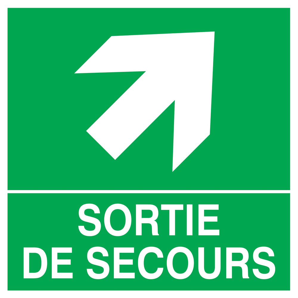PANNEAU SORTIE DE SECOURS FLECHE EN HAUT A DROITE 200X200MM TALIAPLAST - 728408