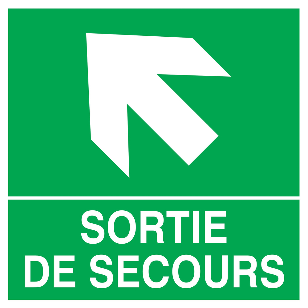 PANNEAU SORTIE DE SECOURS FLECHE EN HAUT A GAUCHE 200X200MM TALIAPLAST - 728410