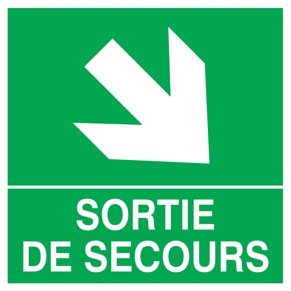 PANNEAU SORTIE DE SECOURS FLECHE EN BAS A DROITE 200X200MM TALIAPLAST - 728411