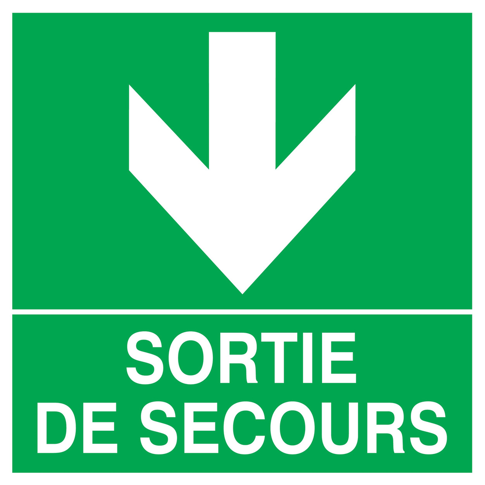 PANNEAU SORTIE DE SECOURS FLECHE EN BAS 200X200MM TALIAPLAST - 728412