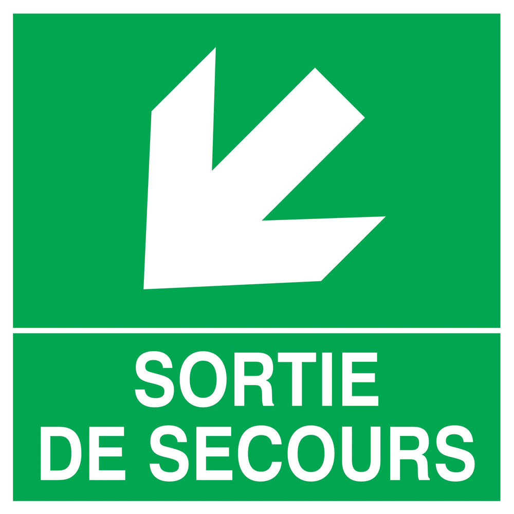 PANNEAU SORTIE DE SECOURS FLECHE EN BAS A GAUCHE 200X200MM TALIAPLAST - 728413
