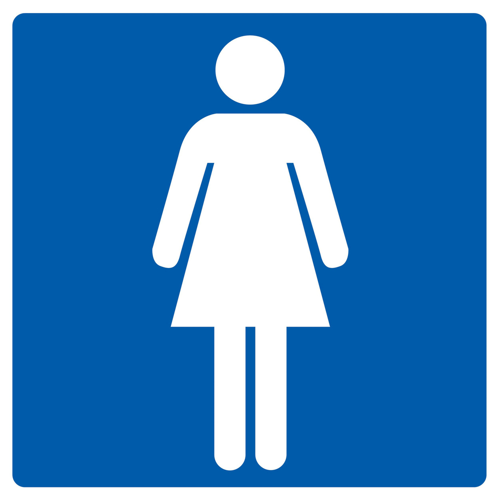 Panneau adhésif TOILETTES DAMES 200X200MM TALIAPLAST - 728604