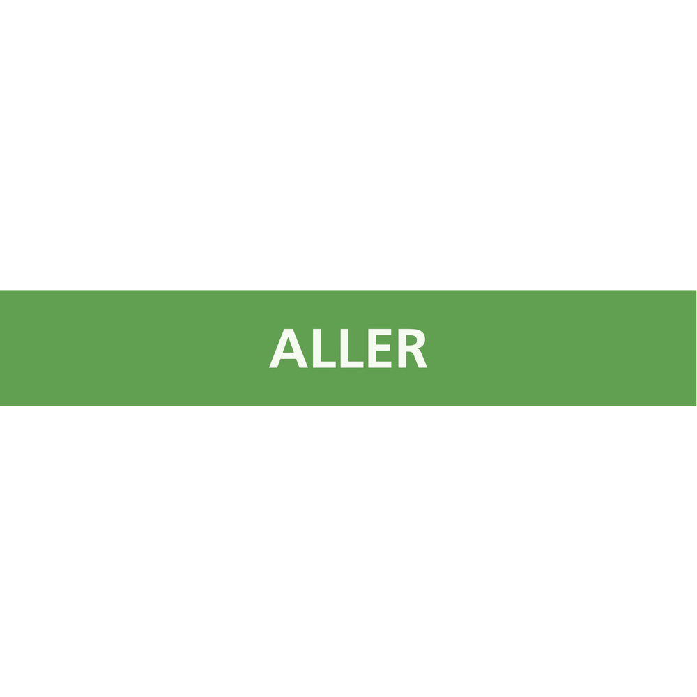 PANNEAU ALLER 312X52MM (10 ADHESIFS POUR TUYAUTERIE) TALIAPLAST - 730101