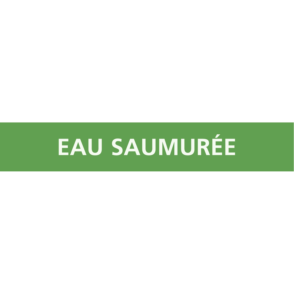 Eau saumurée 312x52mm (10 adhesifs pour tuyauterie) TALIAPLAST - 730194